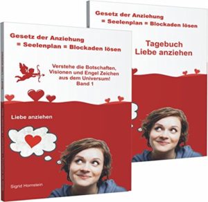 Systemische Aufstellung: Liebe anziehen, Buch