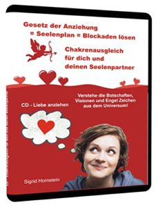 Systemische Aufstellung: Liebe anziehen, CD